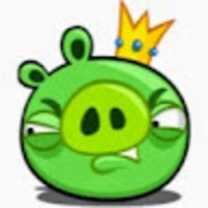 Meet your Posher, Robin